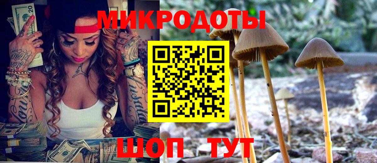 Унеча  Галлюциногенные грибы мухоморы  Вход с VPN  Псилоцибиновые грибы MAGIC MUSHROOMS 